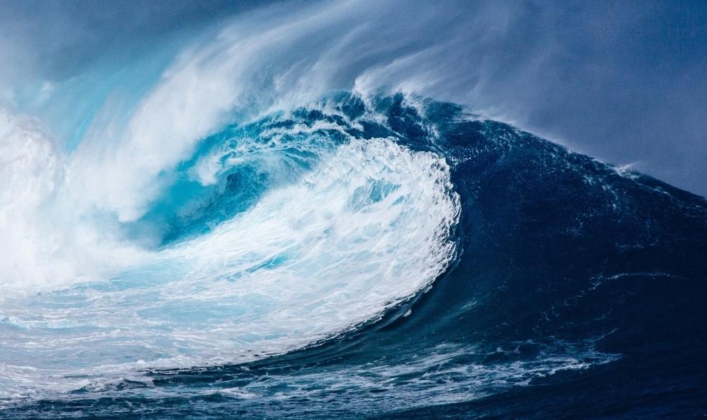 Der digitale Tsunami kommt - wie sie sich für die Digitalisierung wappnen